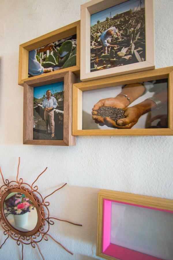 Mala Casa Mi Tio Pericoゲストハウス エクステリア 写真